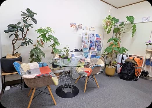 観葉植物に囲まれたかえる留学の打ち合わせスペース