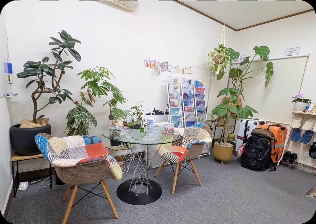 観葉植物に囲まれたかえる留学の打ち合わせスペース